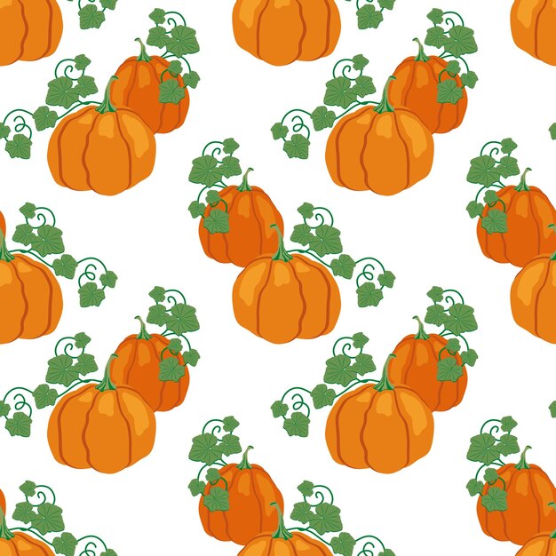 Calabaza, hojas de otoño. Otoño de patrones sin fisuras. Ilustración dibujada a mano vectorial. Fondo blanco.
