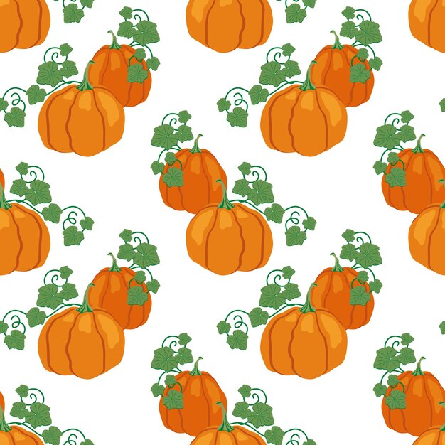 Calabaza, hojas de otoño. otoño de patrones sin fisuras. ilustración dibujada a mano vectorial. fondo blanco.