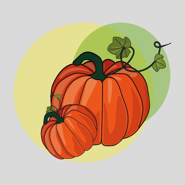 Vector calabaza con hojas