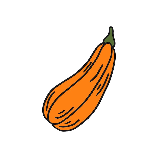 Calabaza Icono de color plano Diseño de acción de gracias Calabaza de otoño
