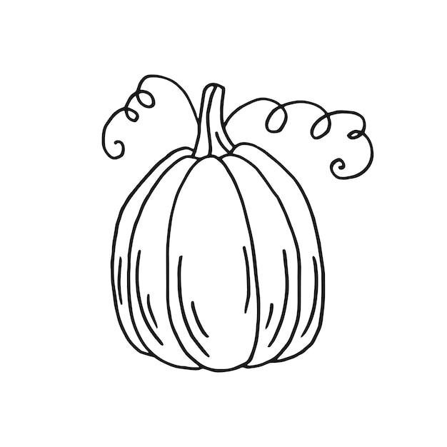 Calabaza Ilustración vectorial dibujada a mano en estilo garabato Imagen en blanco y negro de verduras