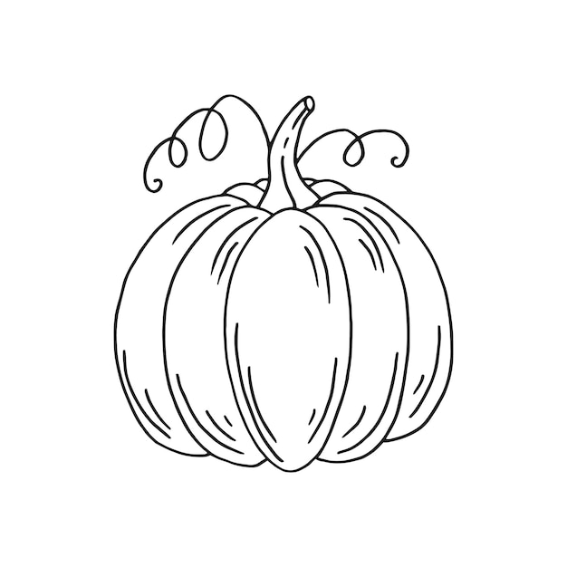 Calabaza Ilustración vectorial dibujada a mano en estilo garabato Imagen en blanco y negro de verduras