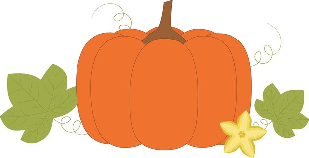 Calabaza con ilustración vectorial de hojas y flores
