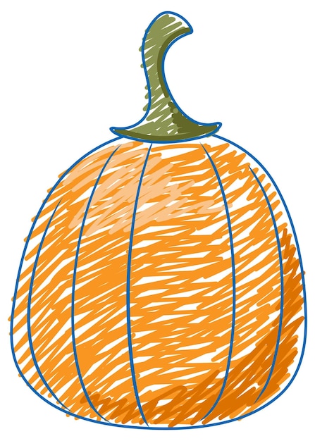 Vector calabaza lápiz color boceto estilo simple