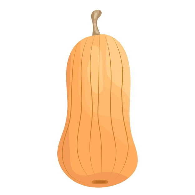 Calabaza larga en vector aislado de estilo plano