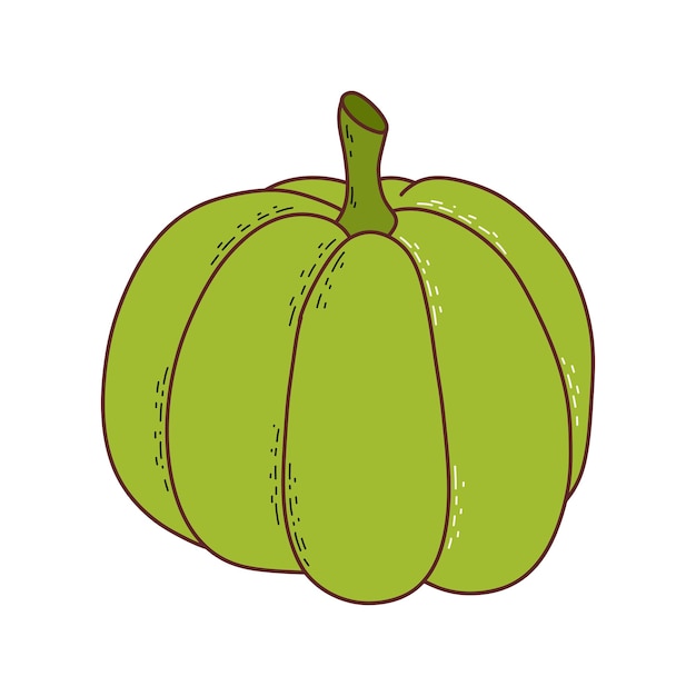 Calabaza linda acción de gracias y elemento de halloween ilustración vectorial en estilo dibujado a mano