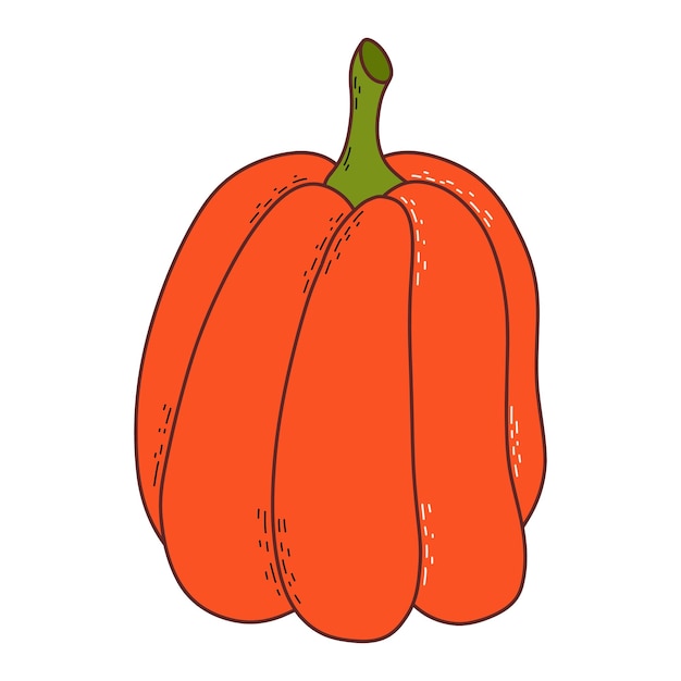 Calabaza linda acción de gracias y elemento de halloween ilustración vectorial en estilo dibujado a mano