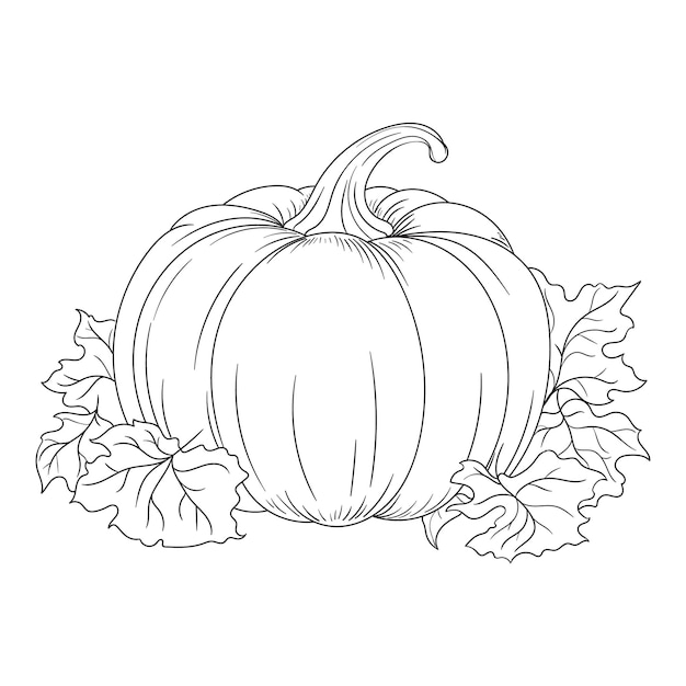 Calabaza lineal dibujada a mano en blanco y negro Perfecta para diseños de otoño o cosecha de Halloween