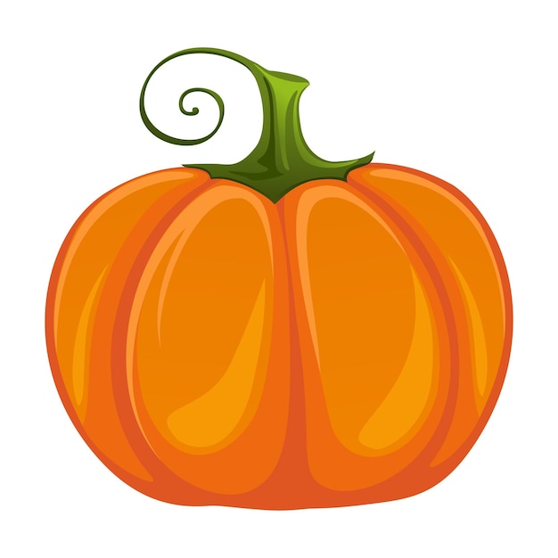 Calabaza madura fresca realista aislada sobre fondo blanco Vector