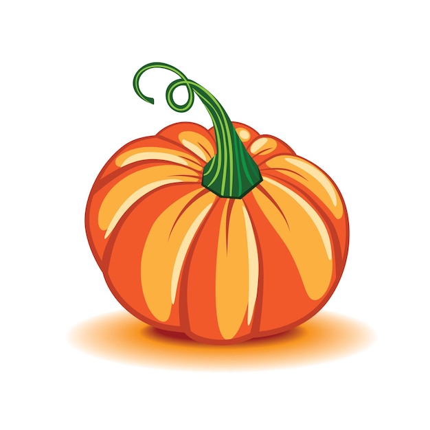 Calabaza mano dibujado vector