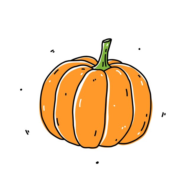 Calabaza naranja aislada sobre fondo blanco Alimentos orgánicos saludables