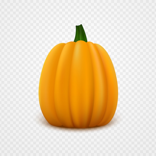 Vector calabaza naranja fresca. ilustración vectorial