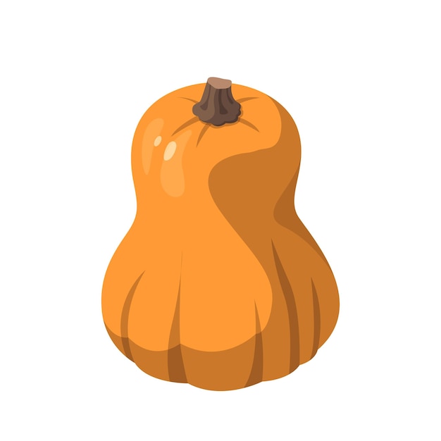 Calabaza naranja grande realista sobre fondo blanco ilustración vectorial