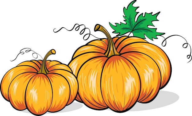 Calabaza naranja con hojas verdes ilustración vectorial