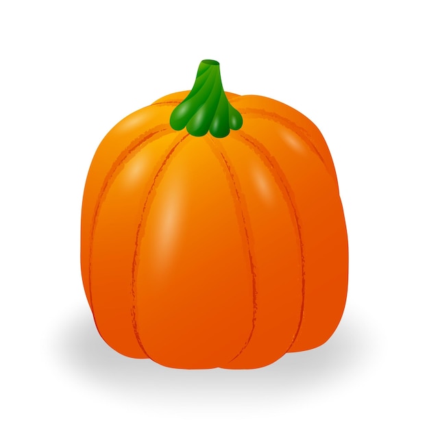 Vector calabaza naranja con tallo. aislado en un fondo blanco. ilustración vectorial