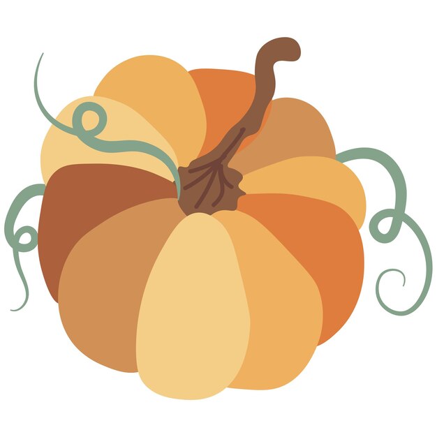 Calabaza de otoño aislada ilustración vectorial sobre fondo blanco