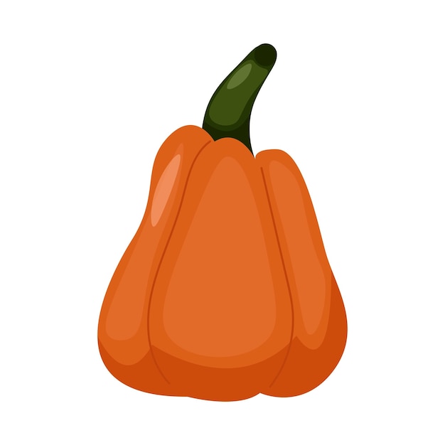 Calabaza de otoño calabaza naranja en un fondo blanco icono de la cosecha de otoño ilustración vectorial del símbolo