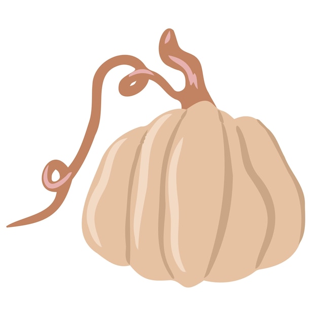 Calabaza de otoño de color lindo, una verdura inusual en un estilo plano de dibujos animados | Vector Premium Calabaza de otoño de color lindo, una verdura inusual en un estilo plano de dibujos animados | Vector Premium