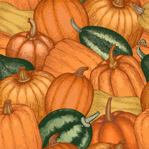Calabaza de patrones sin fisuras. Vector ilustraciones dibujadas a mano. Telón de fondo de acción de gracias en estilo retro con cosecha de calabaza. Fondo de otoño.