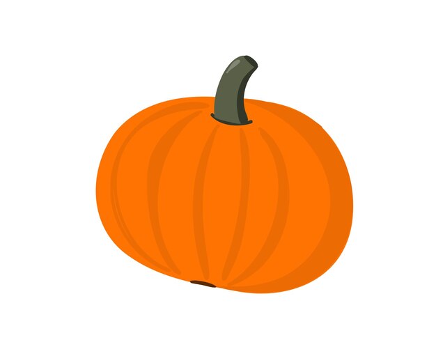 Una calabaza sobre un fondo blanco.