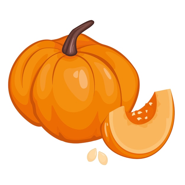 Calabaza, trozos de calabaza, semillas de calabaza. Fondo de otoño, vector, fondo blanco.