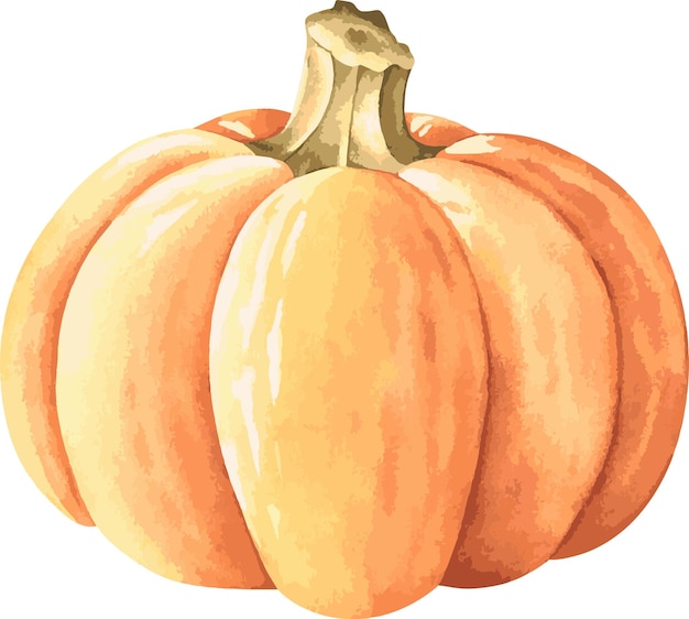 Vector calabaza de vectores