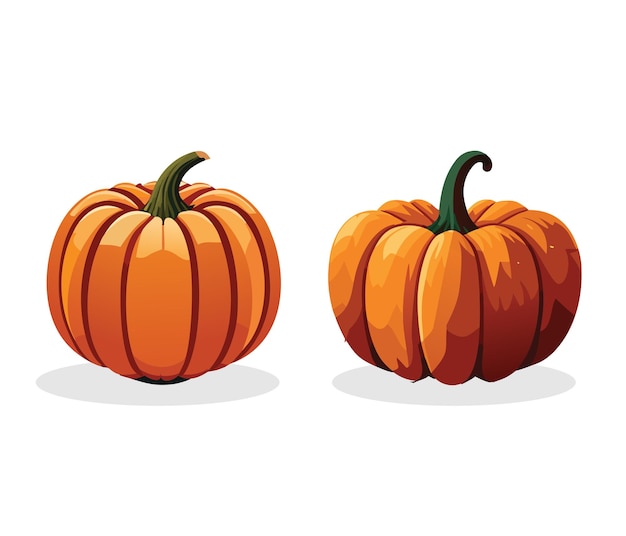 Vector calabaza vectorial en estilo de dibujos animados sobre fondo blanco