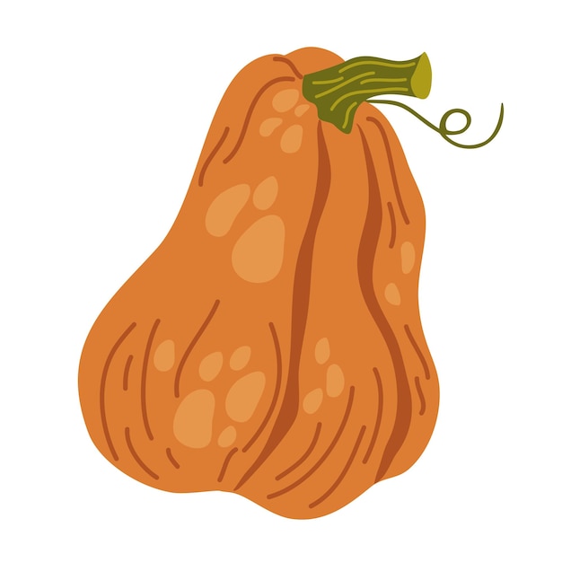 Calabaza Verduras comida Otoño acción de gracias y decoración de Halloween Dibujar a mano ilustración de dibujos animados vectoriales aislada en el fondo blanco