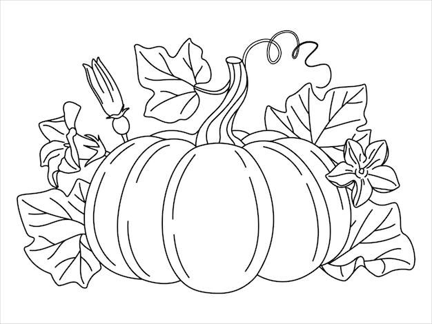 Calabaza con viñas flor y hojas dibujo de línea de arte página de colorear