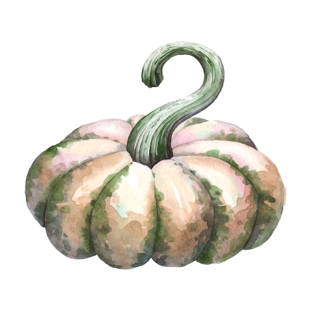 Calabaza.