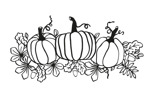 Calabazas en blanco y negro ilustración de acción de gracias fondo de vector blanco y negro