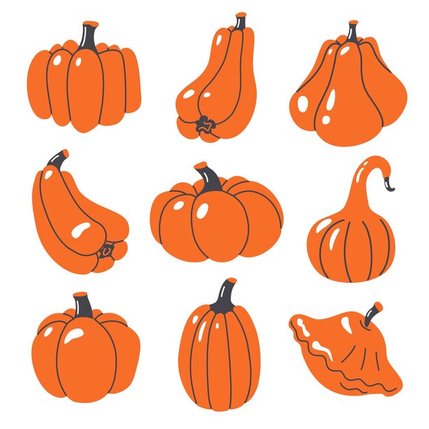 Calabazas calabazas calabazas Vector dibujado a mano conjunto