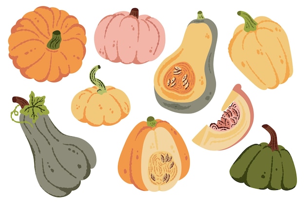 Calabazas dibujadas a mano ilustración de vector de cosecha de otoño de calabaza de Halloween