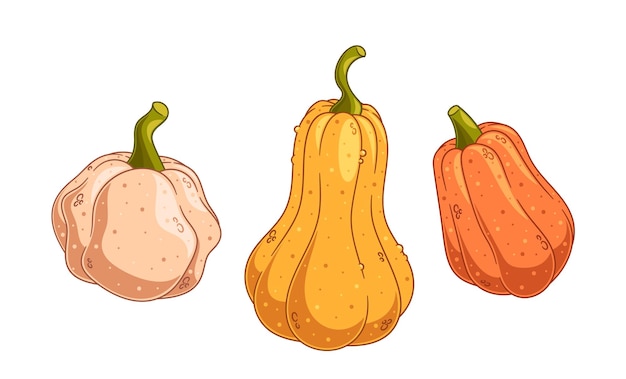 Las calabazas de dibujos animados aisladas sobre un fondo blanco evocan la calidez de las fiestas de otoño y cosecha