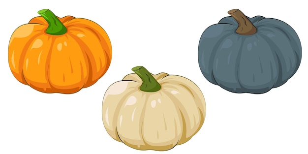 Calabazas de dibujos animados en diferentes colores ilustración vectorial EPS10