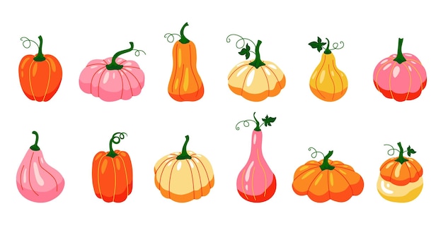 Calabazas Dibujos animados otoño verduras granja producto orgánico colorido brillante colección Vector aislado conjunto