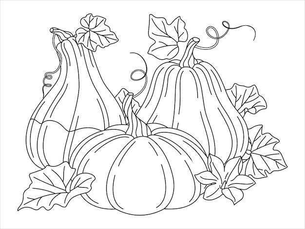 Calabazas con flores y hojas de vides dibujo de línea de arte página de colorear