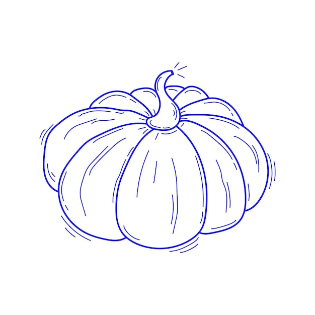 Calabazas de garabato Imagen dibujada a mano vectorial en estilo de dibujos animados Ilustración lineal en estilo de garabato aislado en un fondo blanco