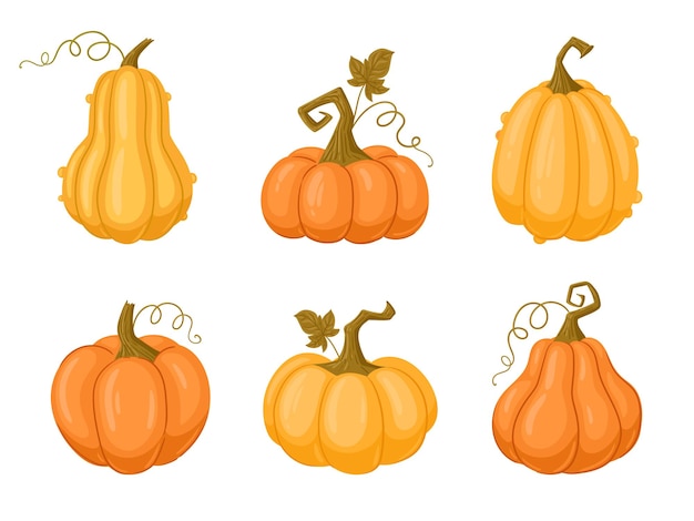 Calabazas de Halloween de dibujos animados Calabaza de cosecha de otoño y calabazas Otoño de acción de gracias y calabazas de halloween conjunto de ilustración de vector plano