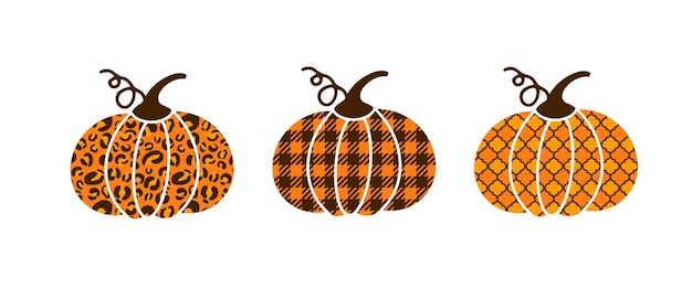 Calabazas hechas de leopardo a cuadros de búfalo y patrón arabesco Lindas decoraciones de otoño Plantilla vectorial para el día de Acción de Gracias Festival de la cosecha de Halloween, etc.