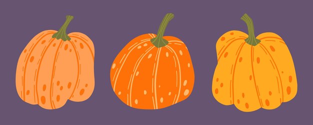 calabazas ilustradas en varias formas y tamaños en un fondo púrpura naranja vibrante y amarillo
