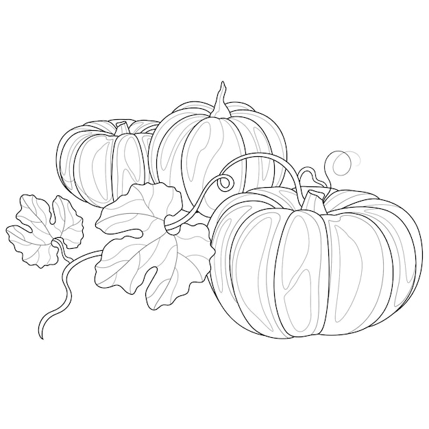 Calabazas Libro de colorear contra el estrés para niños y adultos Ilustración aislada sobre fondo blanco Estilo Zentangle Dibujo a mano