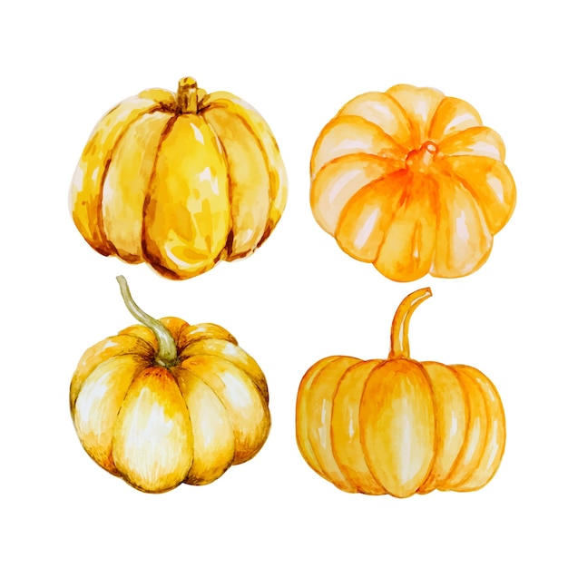 Calabazas de otoño acuarelas.