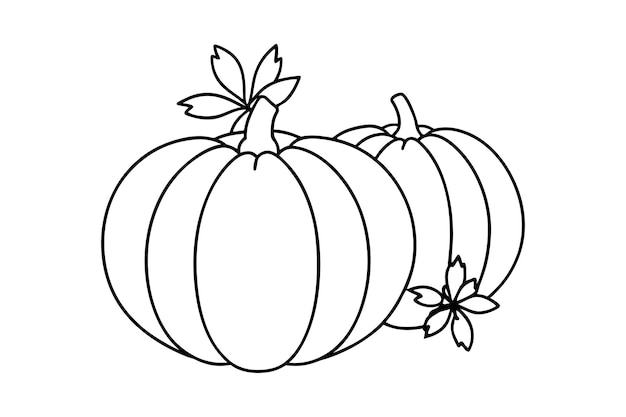 Calabazas de otoño con flores estacionales Arte vectorial