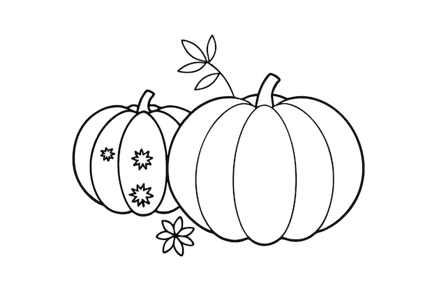 Calabazas de otoño con flores estacionales Arte vectorial
