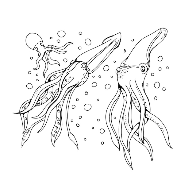 Vector calamar dibujado a mano doodle ilustraciones vector conjunto