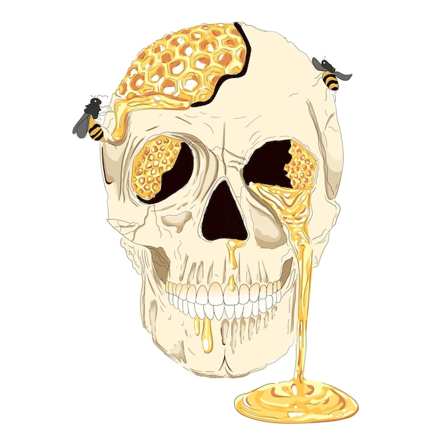 Vector calavera con ilustración de abeja y miel.