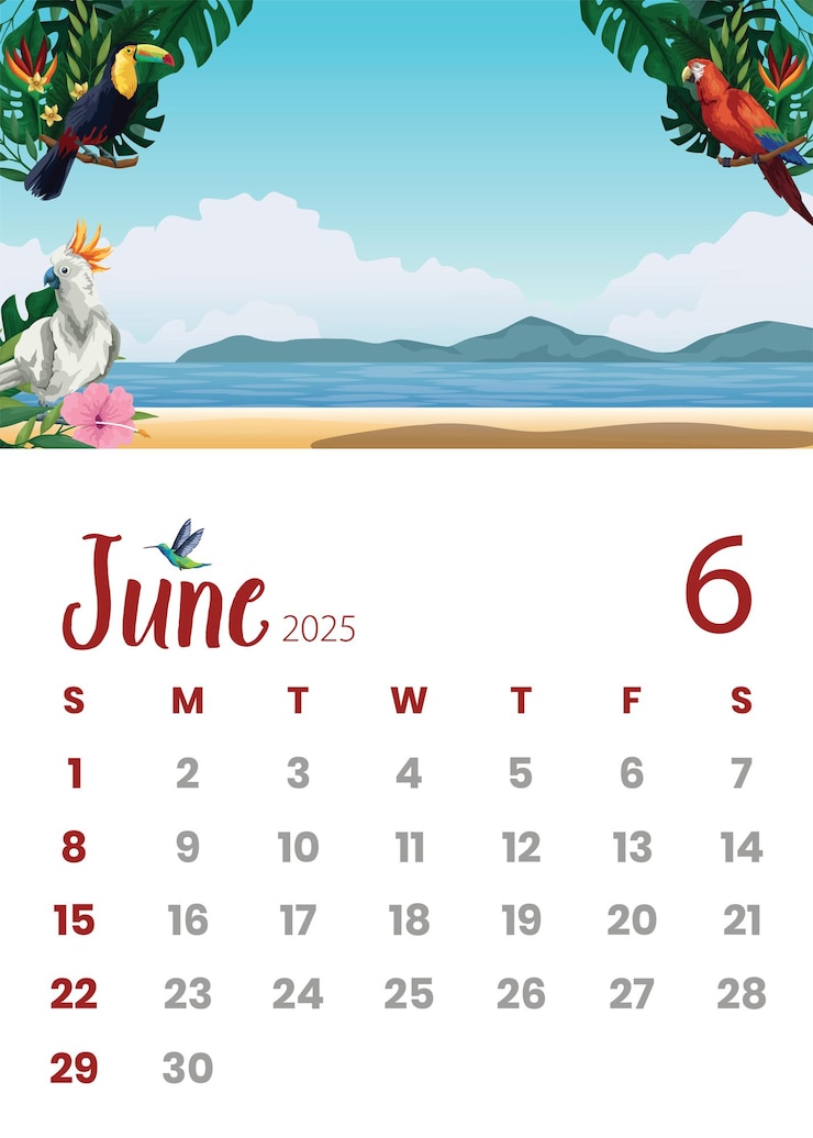 Vector calendario sereno de junio de 2025 con tema de playa y pájaros para las vibraciones de verano