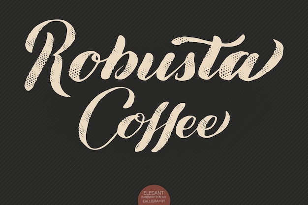 Caligrafía dibujada a mano robusta coffee. ilustración de tinta de caligrafía moderna elegante.