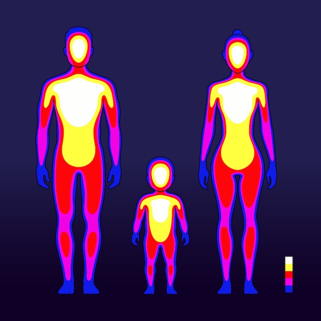 Calor corporal masculino y femenino en espectro infrarrojo. ilustración de vector esquemática de temperatura humana